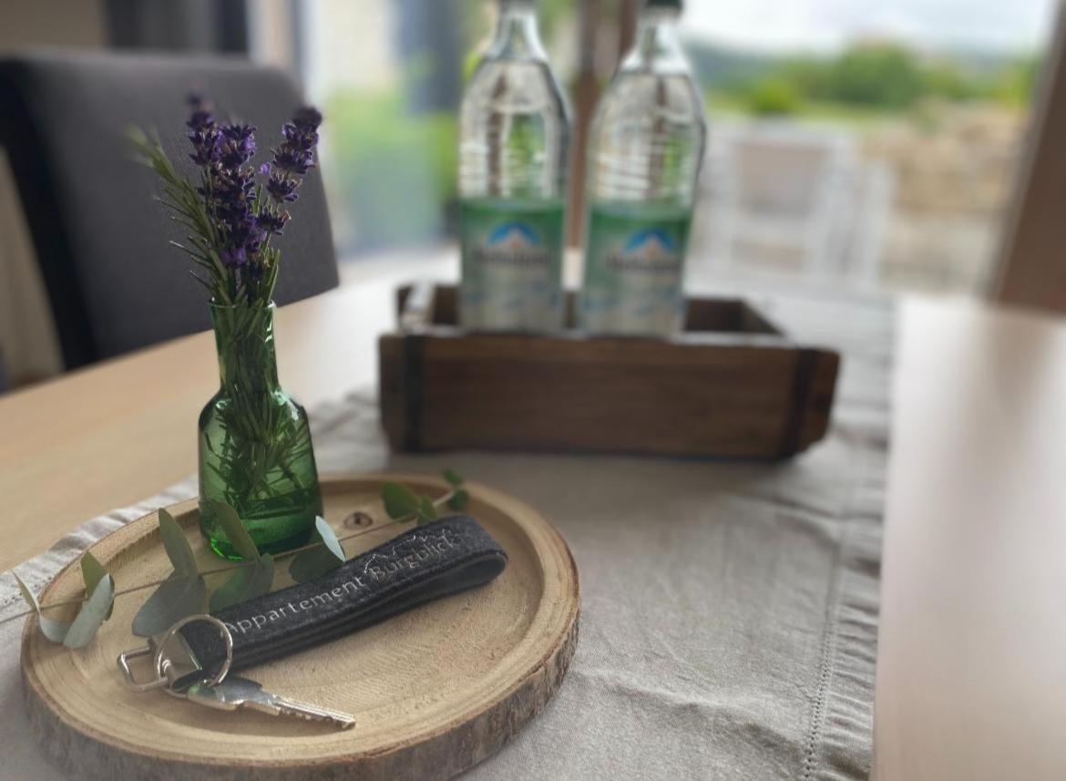 Appartement Burgblick Harburg  Buitenkant foto